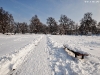Zima w Parku Miejskim w Piasecznie