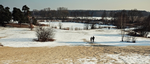 Zimowe zdjęcia z Zalesia Dolnego